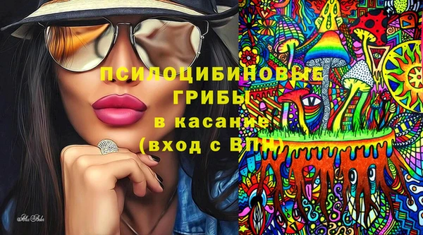 молекула духа Алзамай
