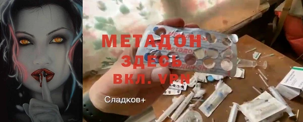 гашик Алексин