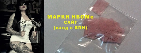 гашик Алексин