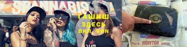 гашик Алексин
