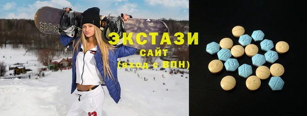гашик Алексин