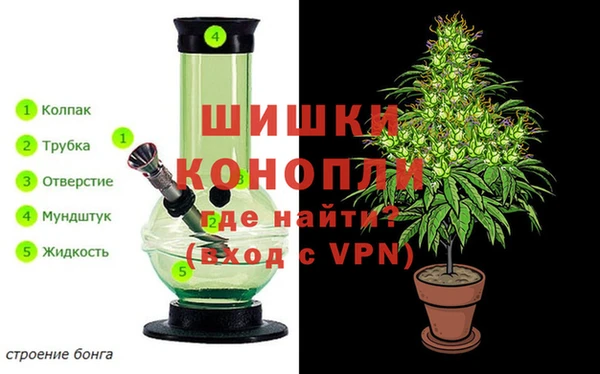 молекула духа Алзамай